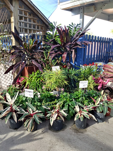 Produce Market «Nelson Family Farms», reviews and photos, 875 W Midway Rd, Fort Pierce, FL 34982, USA