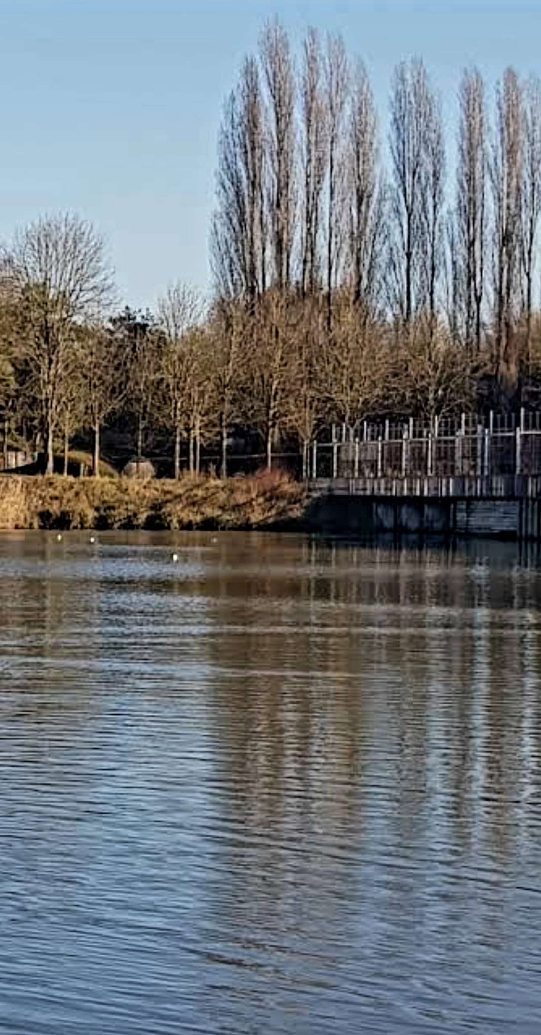 Photo n° 10 de l'avis de Michel.a fait le 20/11/2020 à 16:37