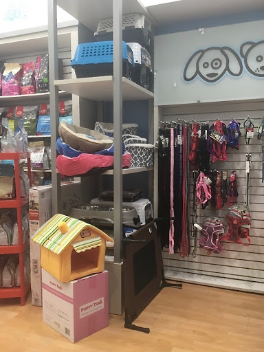 Pet Store «South Beach Pet Shop», reviews and photos, 634 6th St, Miami Beach, FL 33139, USA