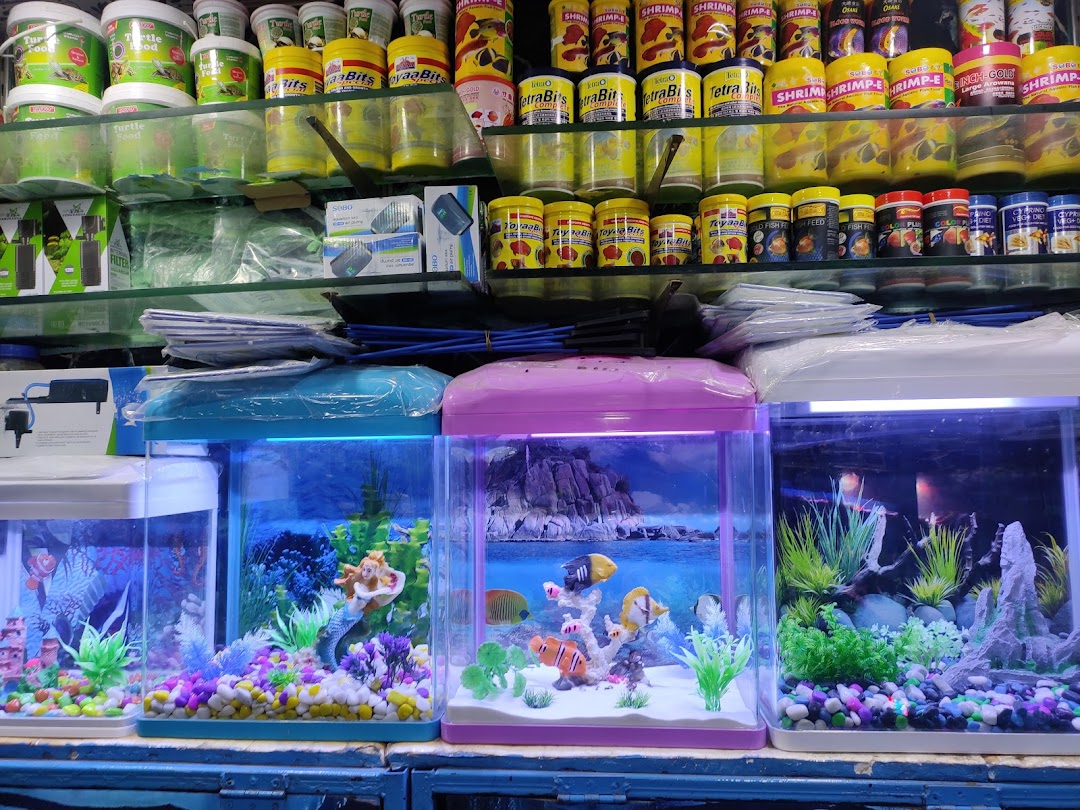 Deepak - fish Aquarium Shop in chandigarh