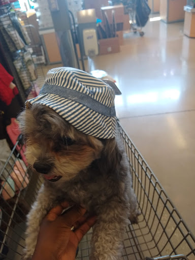 Pet Supply Store «Petco Animal Supplies», reviews and photos, 14609 Airline Hwy Ste 104, Gonzales, LA 70737, USA