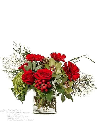 Florist «Century Florist», reviews and photos, 9941 Pines Blvd, Hollywood, FL 33025, USA