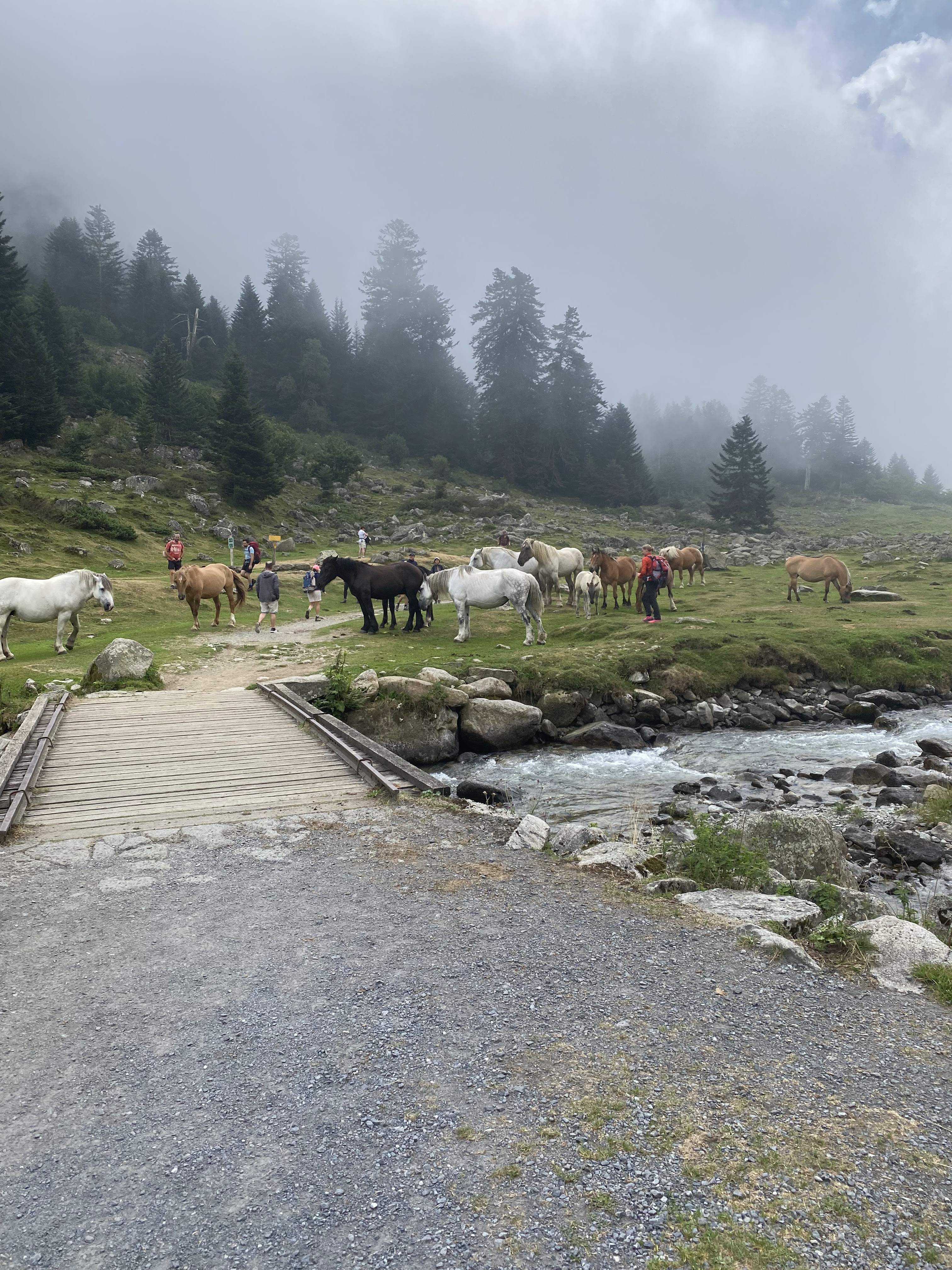 Photo n° 1 de l'avis de aymerick.a fait le 14/08/2022 à 16:13