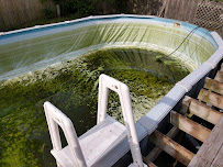 Your Pool Doctors - Photo 7 - Car repair in , Virginia Beach