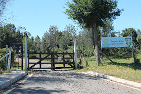 Escuela bajo Quilantahue