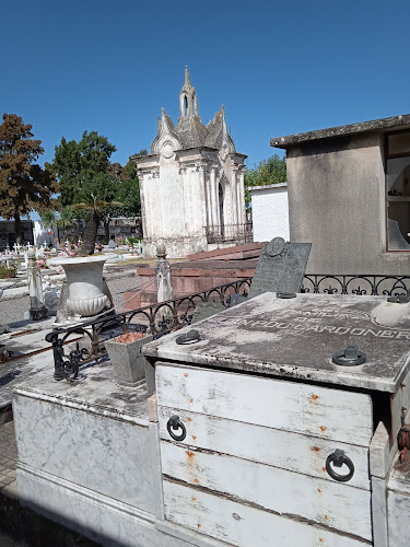 Cementerio Municipal