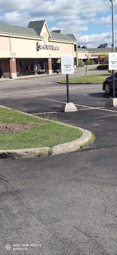 Pet Supply Store «Pet Supplies Plus», reviews and photos, 3340 Sheridan Dr, Amherst, NY 14226, USA