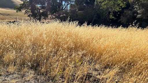 Park «Black Diamond Mines Regional Preserve», reviews and photos, 5175 Somersville Rd, Antioch, CA 94509, USA