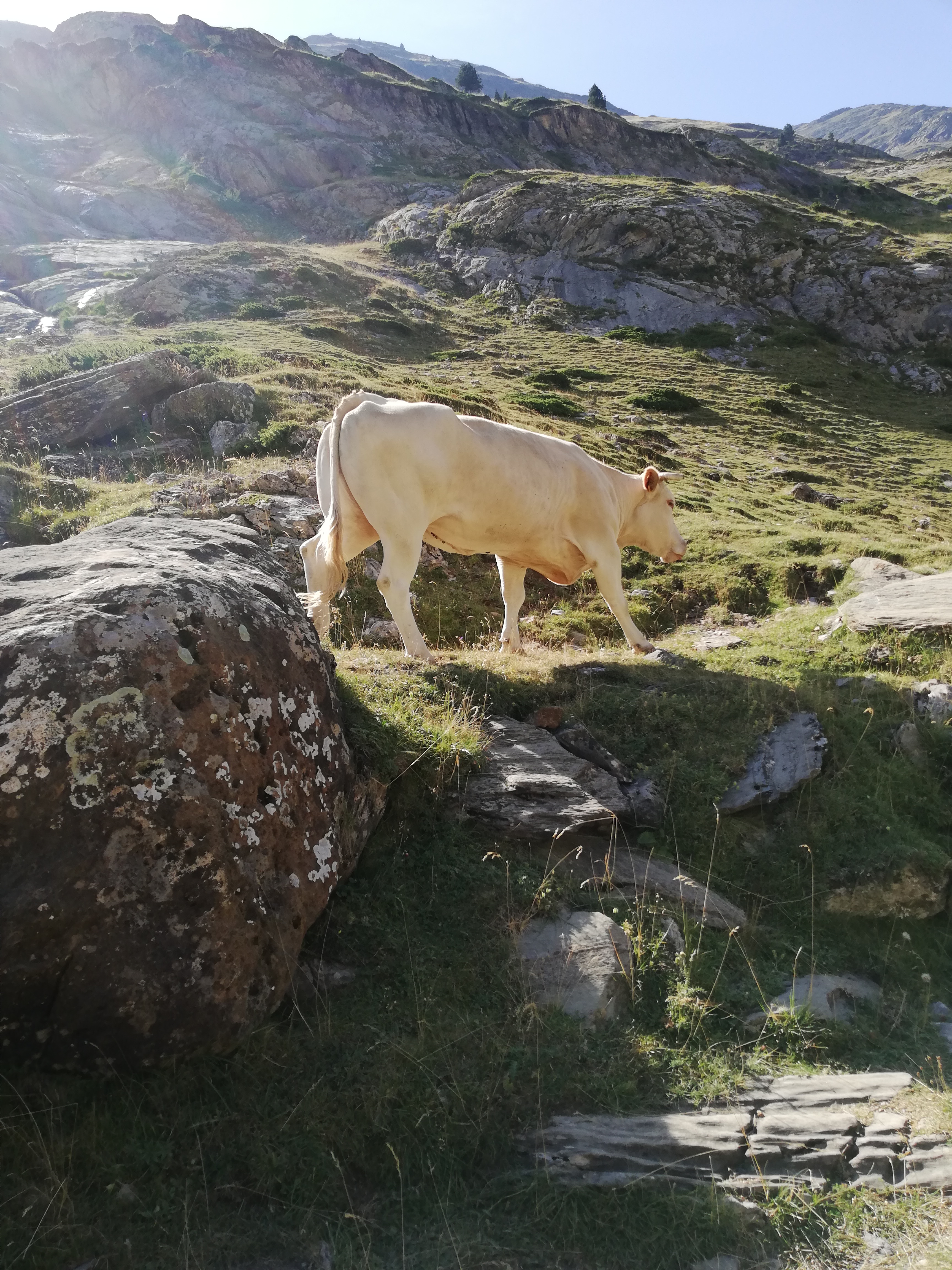 Photo n° 17 de l'avis de Nicolas.a fait le 10/08/2023 à 21:46