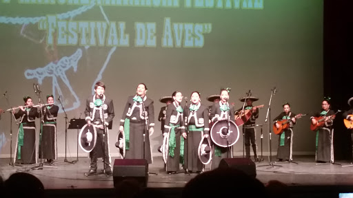 Performing Arts Theater «HCISD Performing Arts Center», reviews and photos, 3217 Wilson Rd, Harlingen, TX 78552, USA