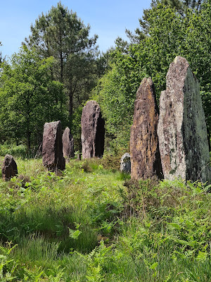 Réserve naturelle régionale des landes de Monteneuf à Monteneuf