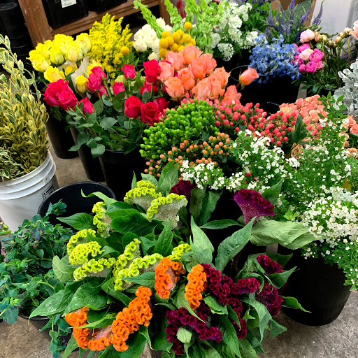 Florist «Posh Petals», reviews and photos, 1134 E 54th St A, Indianapolis, IN 46220, USA