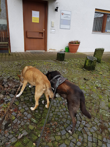 Tierarztpraxis Kirtorf unter Kirtorf, 