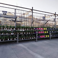 Walmart Supercenter - Photo 3 - Car repair in Alcoa, TN, Knoxville