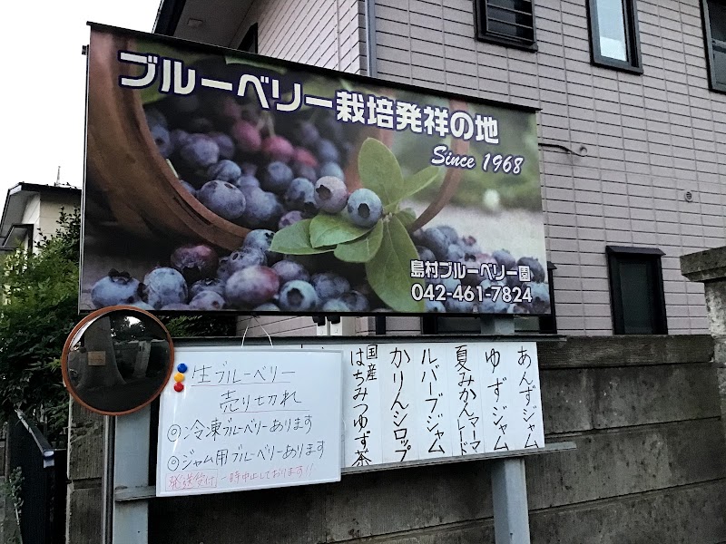 Shimamura Blueberry Farm
