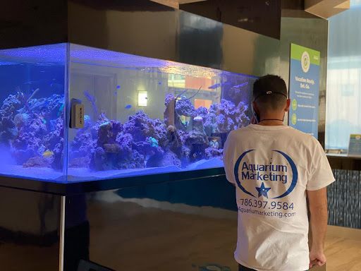 Aquarium «Aquarium Marketing», reviews and photos, 4615 NW 72nd Ave #112, Miami, FL 33166, USA