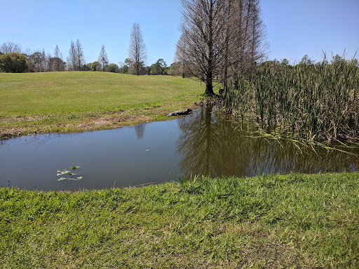 Golf Course «Rogers Park Golf Course», reviews and photos, 7910 N 30th St, Tampa, FL 33610, USA