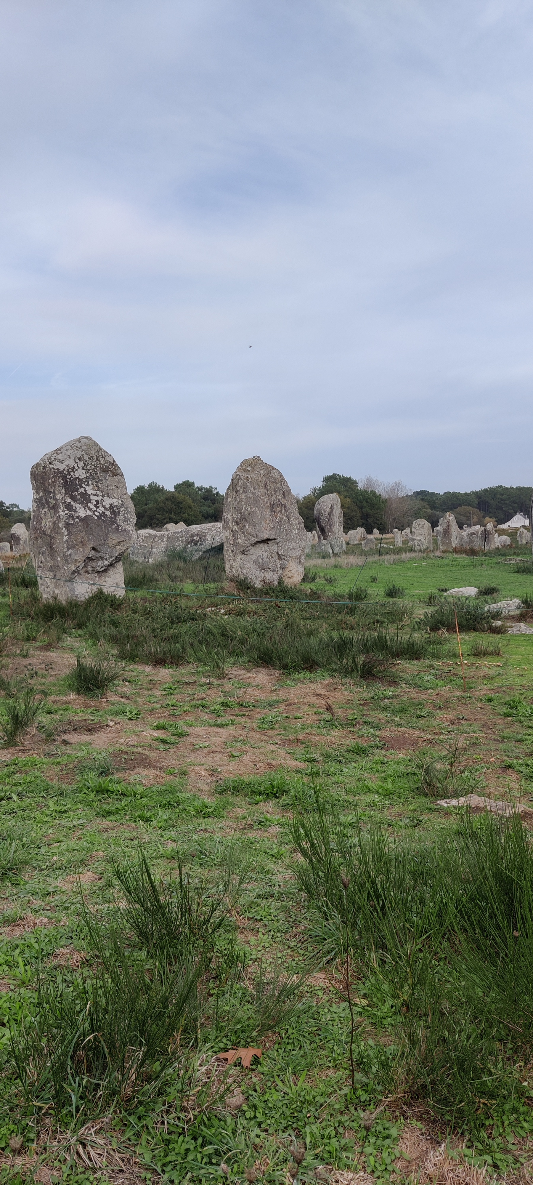 Photo n° 3 de l'avis de Nathalie.c fait le 27/10/2022 à 16:17