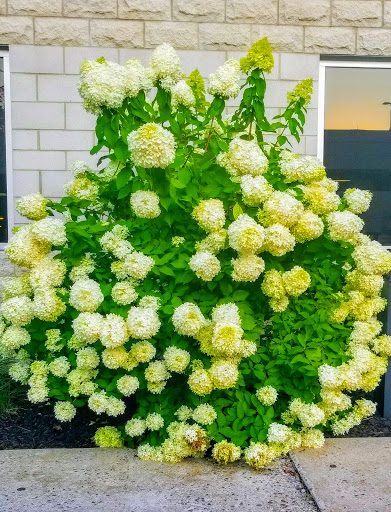 Shopping Mall «Beach Shopping Center», reviews and photos, 1831 Main St, Peekskill, NY 10566, USA