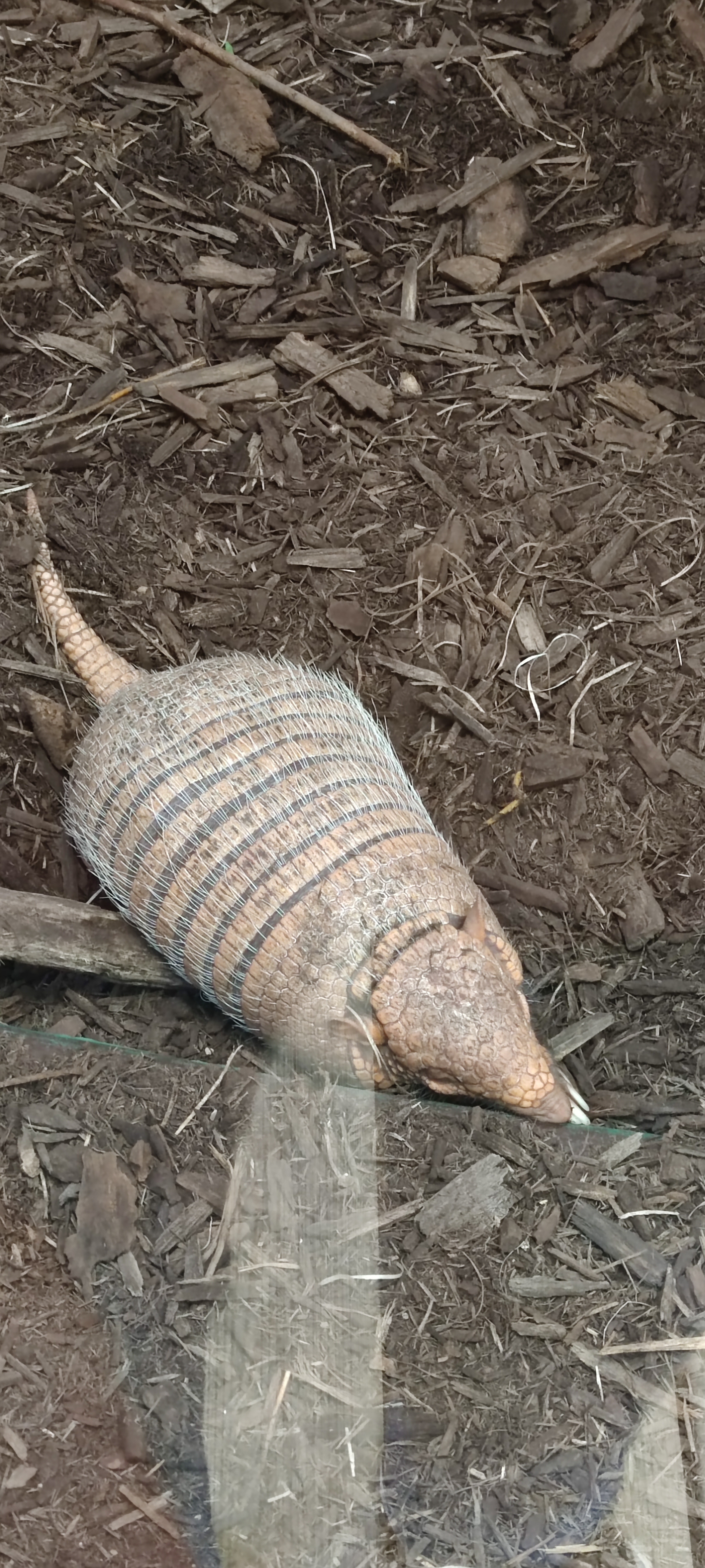 Photo n° 5 de l'avis de Magalie.o fait le 24/07/2021 à 15:03