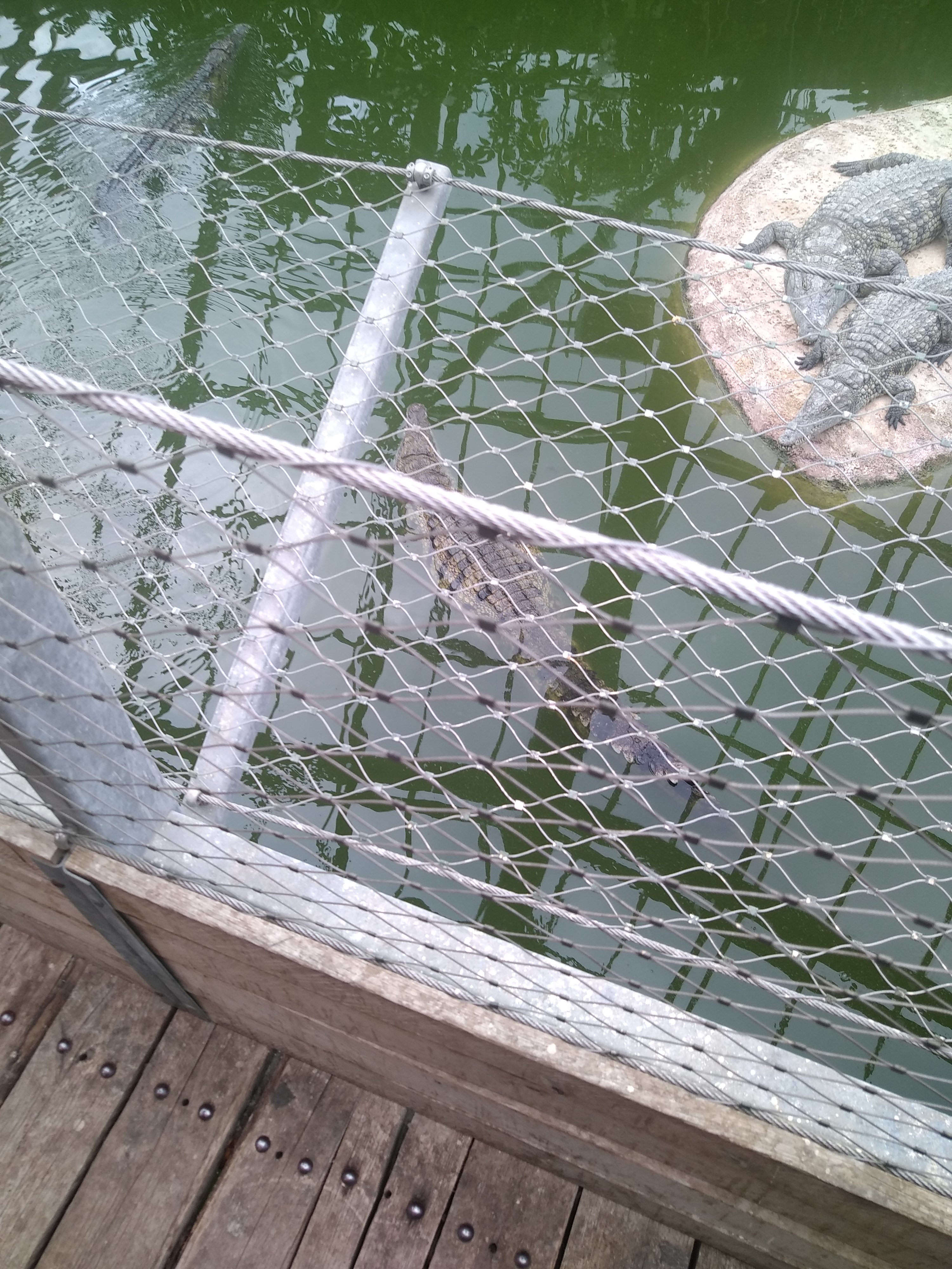 Photo n° 9 de l'avis de Antony.b fait le 16/08/2020 à 13:39