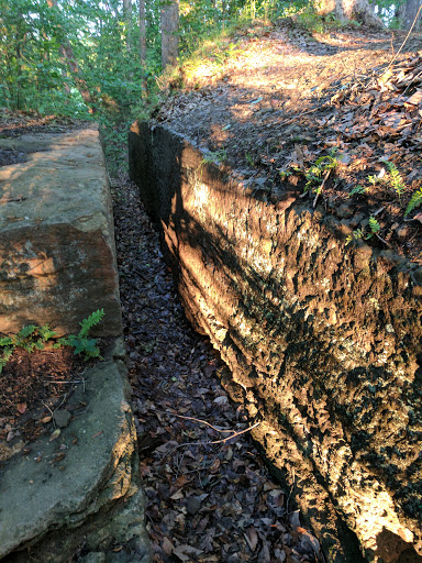 Park «Government Island», reviews and photos, 191 Coal Landing Road, Stafford, VA 22554, USA