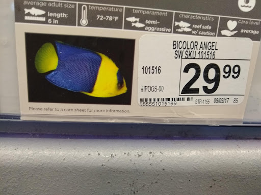 Pet Supply Store «Petco Animal Supplies», reviews and photos, 3320 Stockton Hill Rd, Kingman, AZ 86409, USA