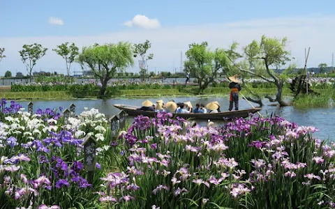 Suigo Sawara Ayame Park image