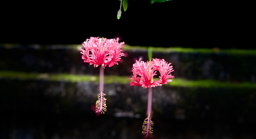 Top 20 cửa hàng altech Huyện Hoa Lư Ninh Bình 2022