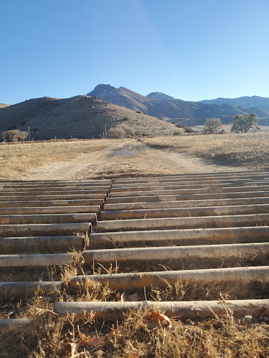 Nature Preserve «Kern River Preserve», reviews and photos, 18747 CA-178, Weldon, CA 93283, USA