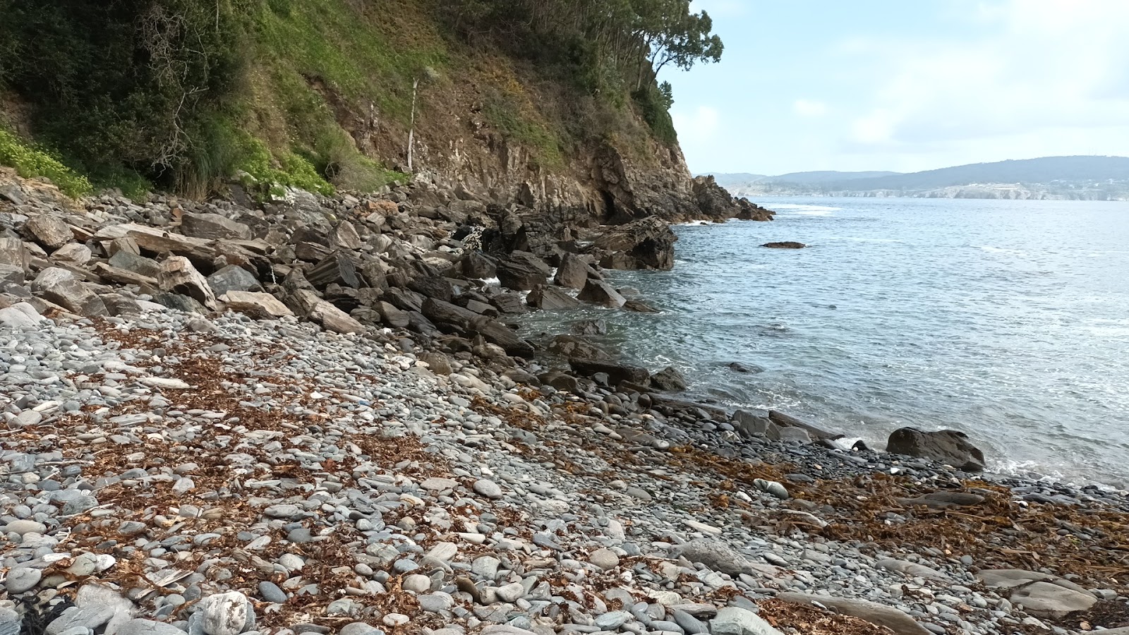 Playa de las Pedregueiras'in fotoğrafı vahşi alan