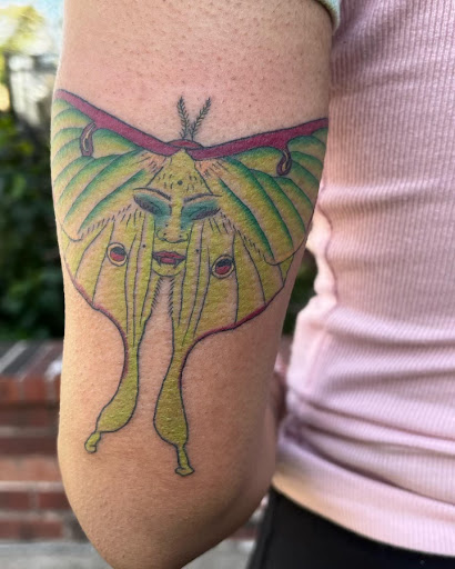 Explore sleeve tattoo ideas for ladies, creative tattoo ideas in Webster, available at Mainline Ink