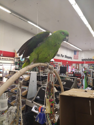 Hardware Store «Woods Ace Hardware», reviews and photos, 22217 Palos Verdes Blvd, Torrance, CA 90505, USA