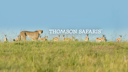 Thomson Safaris