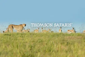 Thomson Safaris image