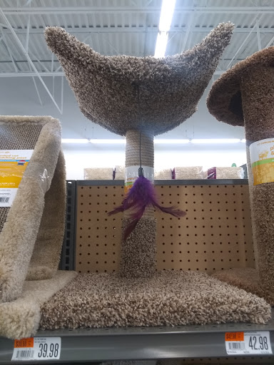 Pet Supply Store «Pet Supplies Plus», reviews and photos, 21703 Village Lakes Shopping Center Dr, Land O Lakes, FL 34639, USA