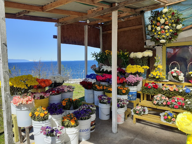 Opiniones de Flores a domicilio Miramar en Puerto Montt - Floristería