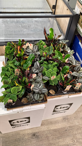 Supermarket «Best Market Massapequa», reviews and photos, 5601 Merrick Rd, Massapequa, NY 11758, USA