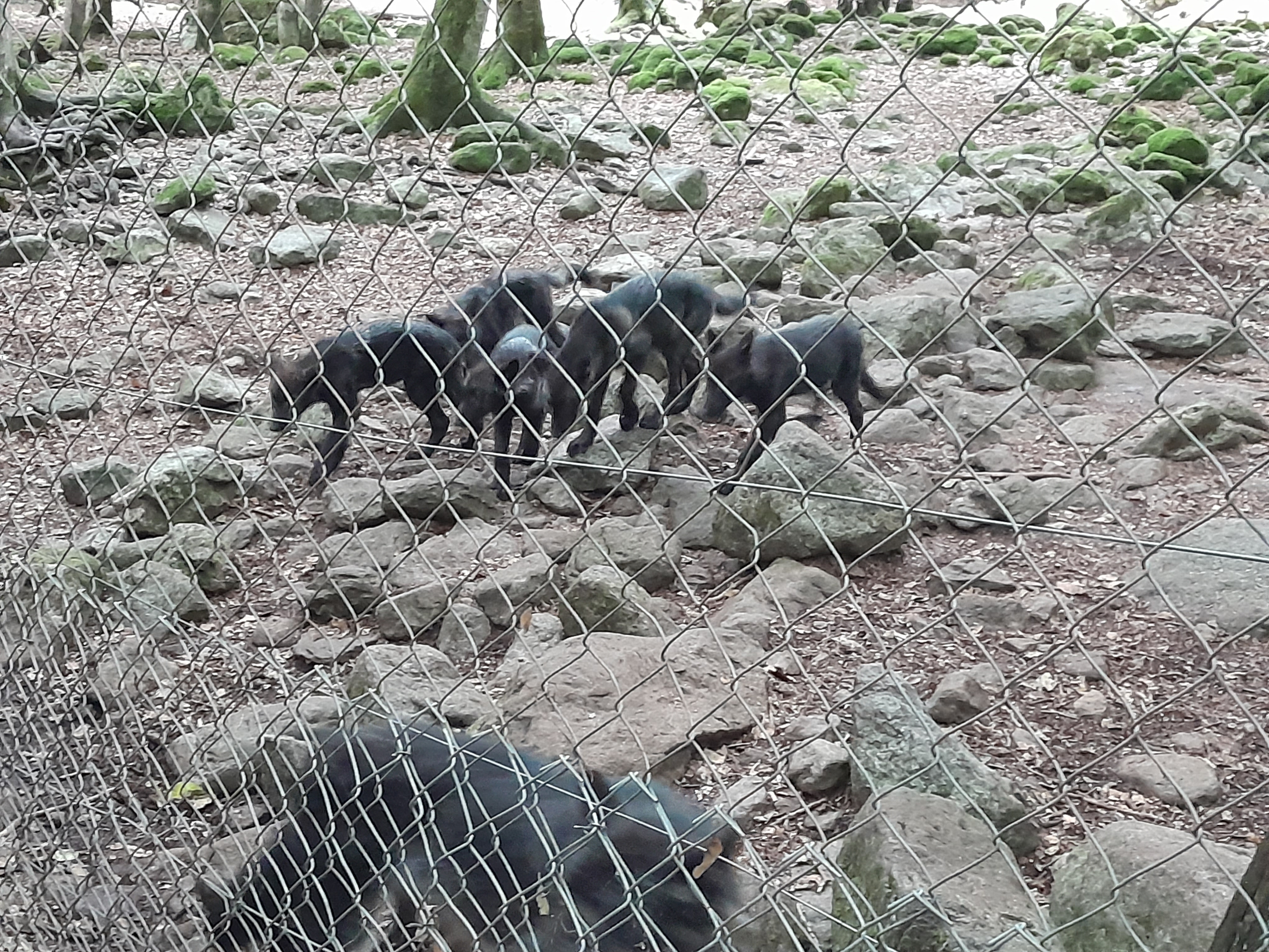 Photo n° 1 de l'avis de Nessy.O fait le 16/08/2022 à 12:33