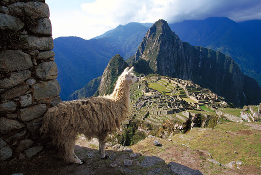 Photographer «Karen Campbell Photography», reviews and photos, 2408 Dorrington Dr, Dallas, TX 75228, USA