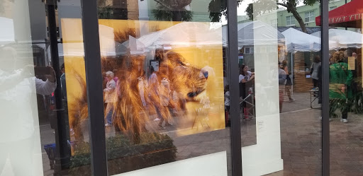 Art Gallery «National Geographic | Fine Art Galleries», reviews and photos, 607 E Las Olas Blvd, Fort Lauderdale, FL 33301, USA