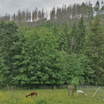 Photo n°4 de l'avis de Tilo.a fait le 12/06/2021 à 14:39 sur le  Kräuterbaude Saupsdorf à Sebnitz