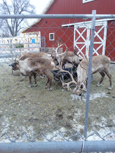 Zoo «Sibley Farm», reviews and photos, 900 Mound Avenue, Mankato, MN 56001, USA