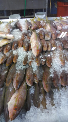 Grocery Store «Bravo Supermarkets», reviews and photos, 6819 Miramar Pkwy, Miramar, FL 33023, USA