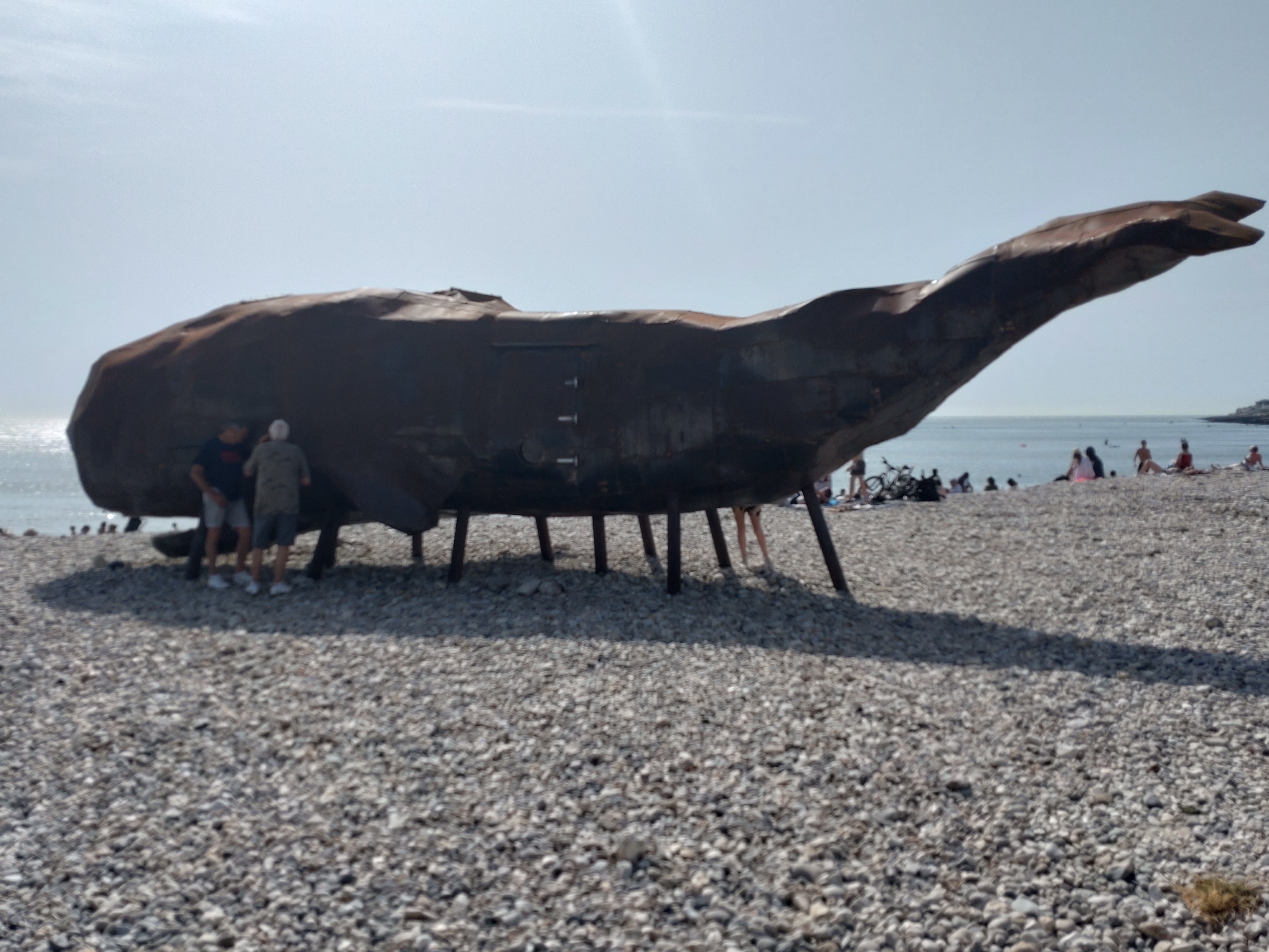 Photo n° 4 de l'avis de nounours.e fait le 18/06/2022 à 18:34