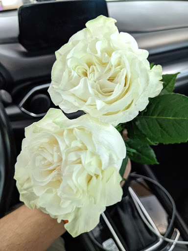 Florist «Whidden Florist», reviews and photos, 425 W Robertson St, Brandon, FL 33511, USA