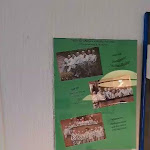 Photo n°31 de l'avis de Bart.a fait le 14/08/2023 à 08:14 sur le  Zum Amtsrichter à Hillesheim