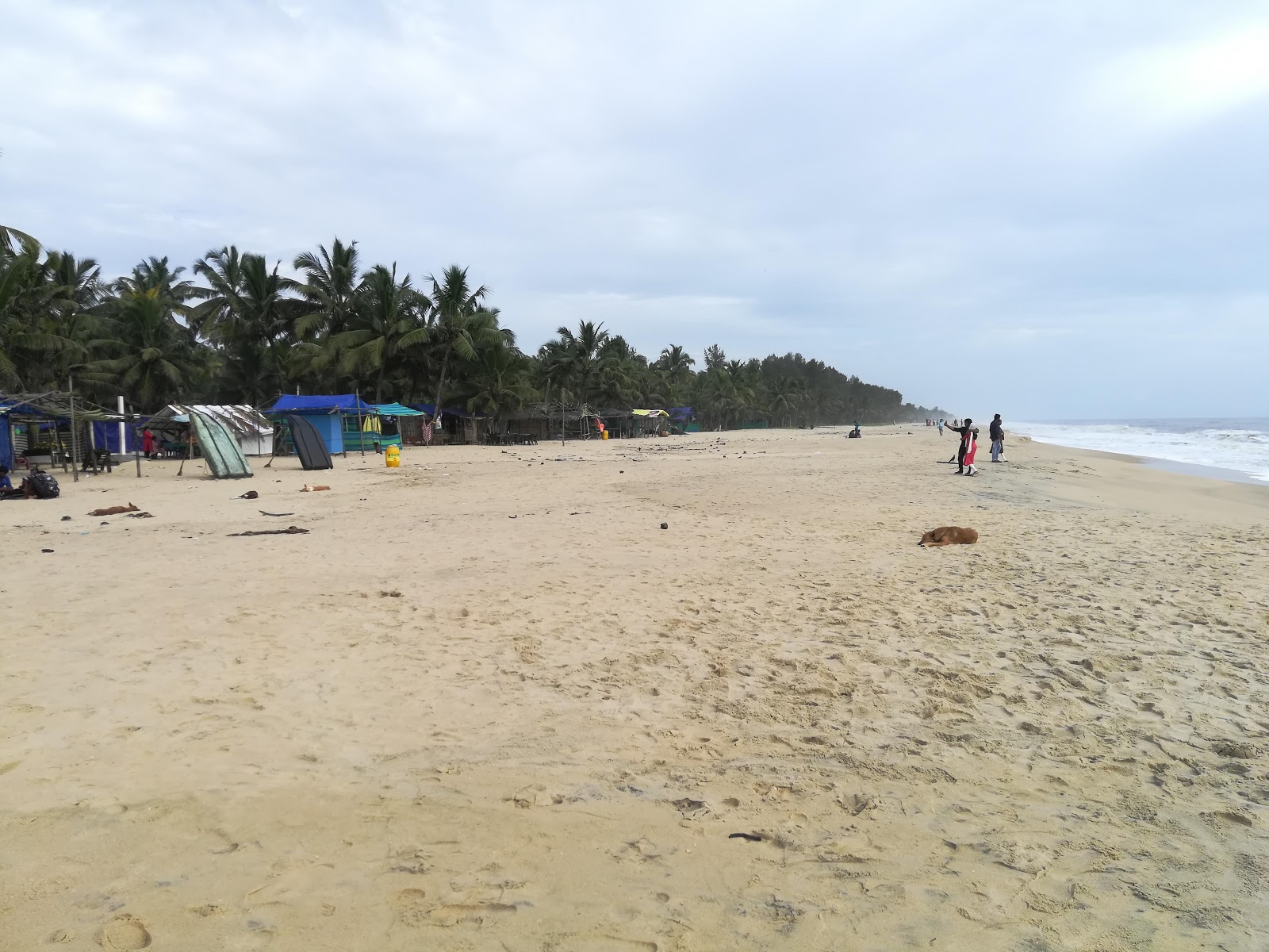 Φωτογραφία του Marari Beach και η εγκατάσταση