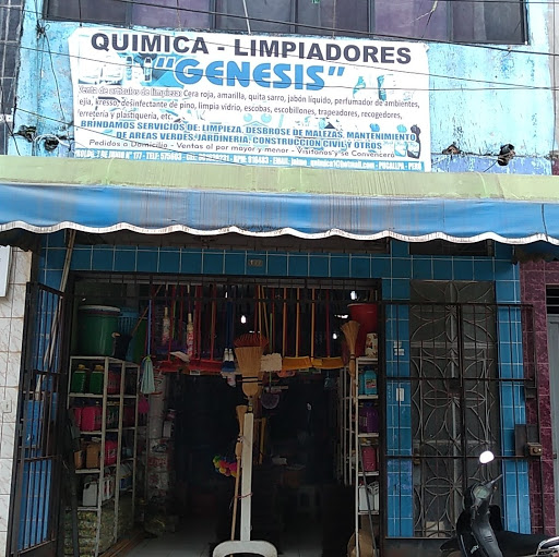 Quimica Limpiadores 