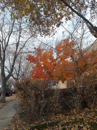 Fabric Store «Brooks Fabrics», reviews and photos, 220 N Main St, Bountiful, UT 84010, USA